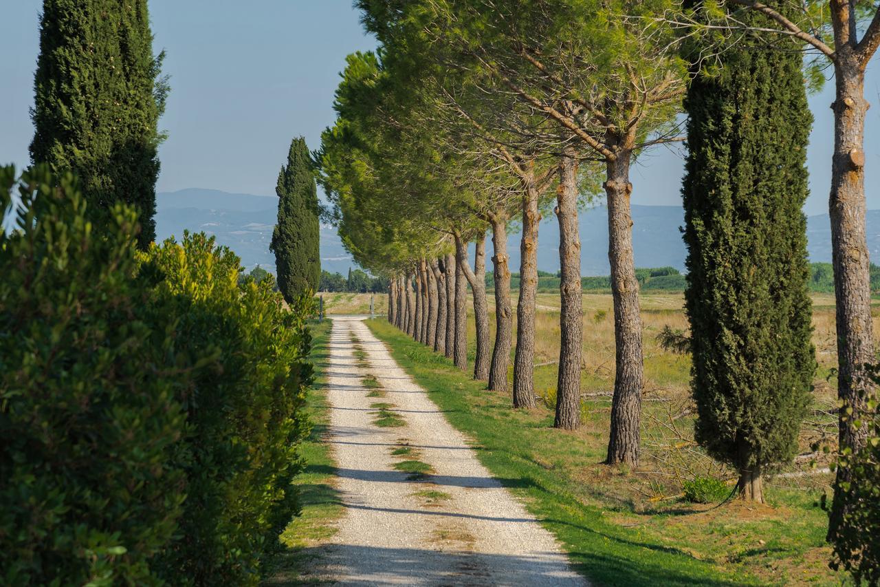 Agriturismo Bandinelli 브라카그니 외부 사진
