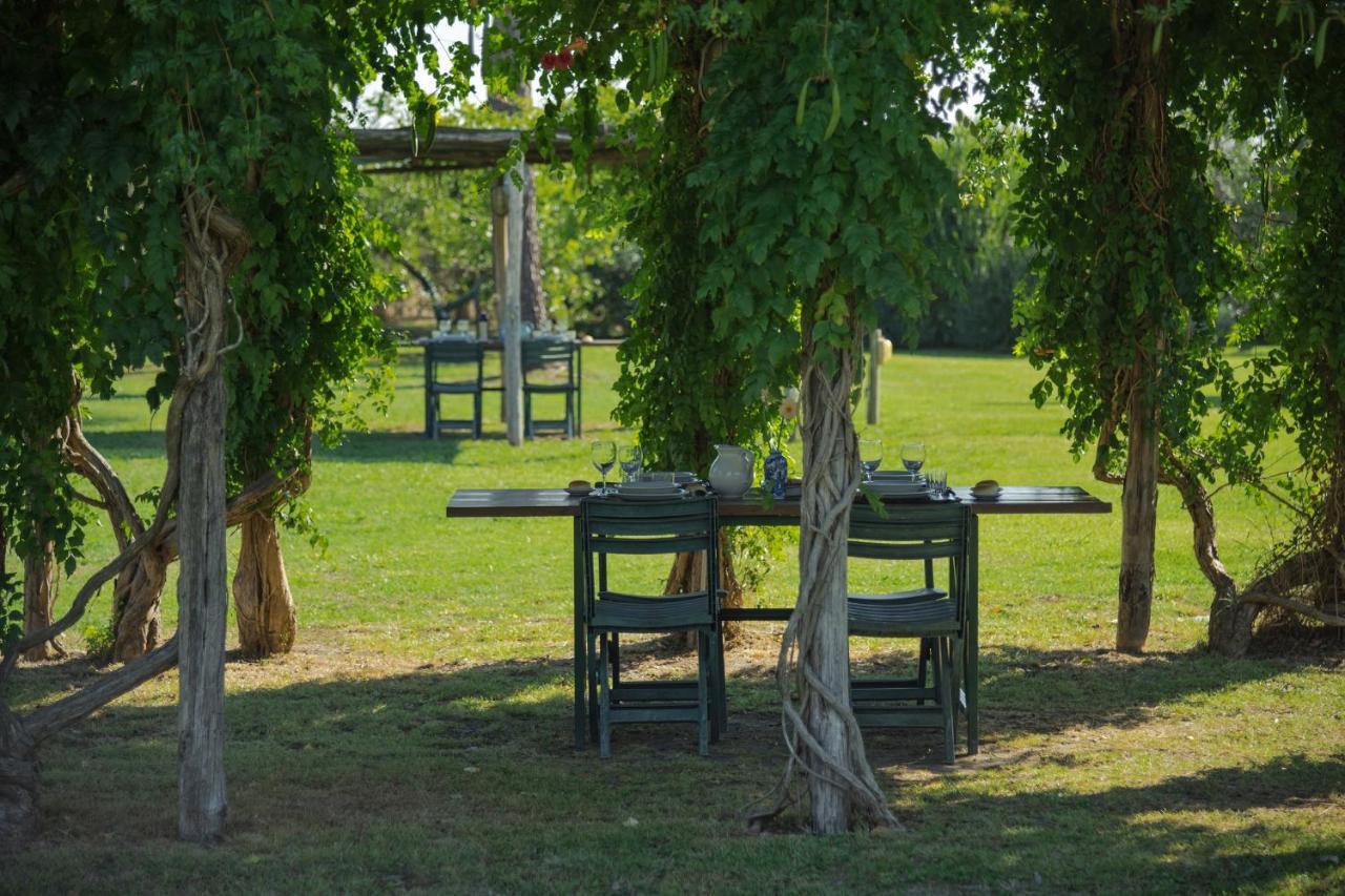Agriturismo Bandinelli 브라카그니 외부 사진