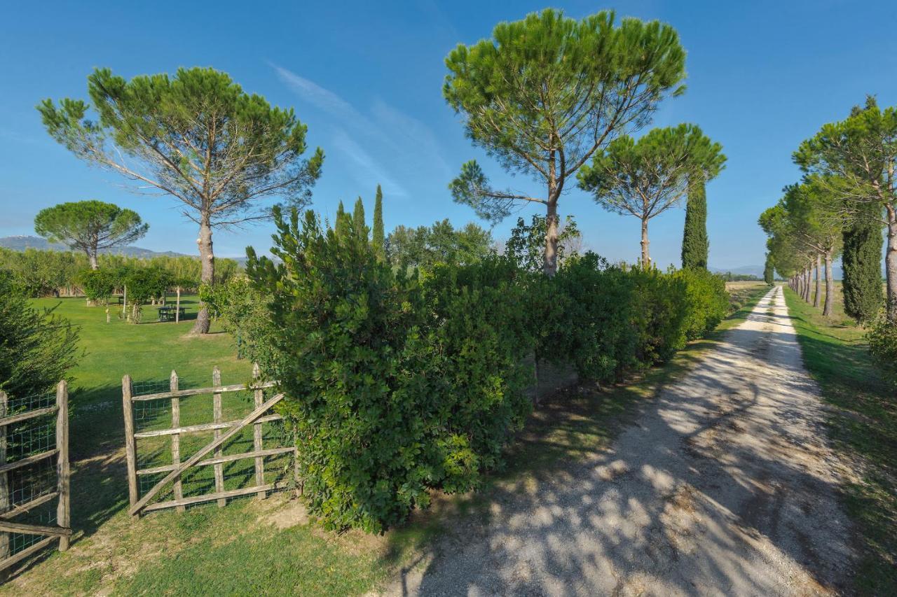 Agriturismo Bandinelli 브라카그니 외부 사진